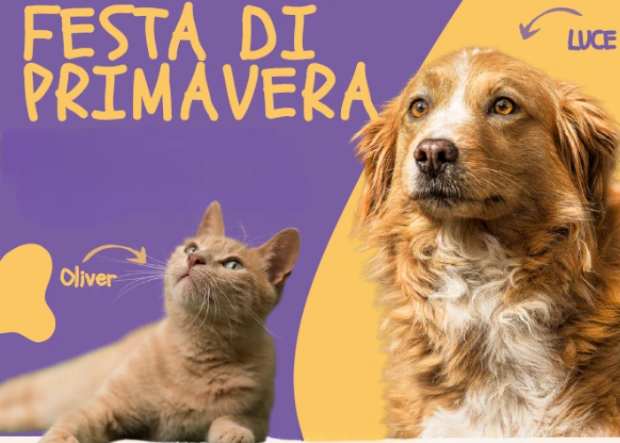 Iniziativa a cura dell'Asilo del Cane di Palazzolo Milanese e con il patrocinio della Città di Paderno Dugnano.
