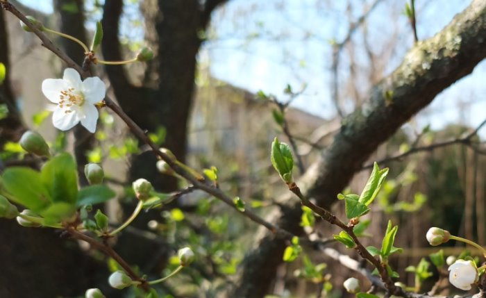 L’iniziativa a cura di Parco Grubrìa