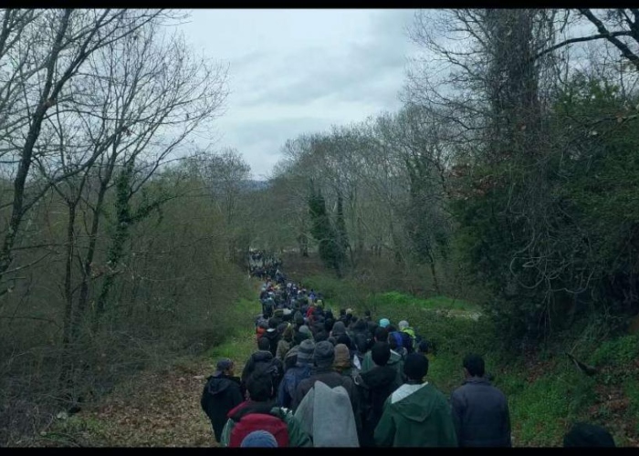 Una rassegna cinematografica dedicata a migrazione, solidarietà e dignità delle persone migranti: uno spazio per comprendere e partecipare. 