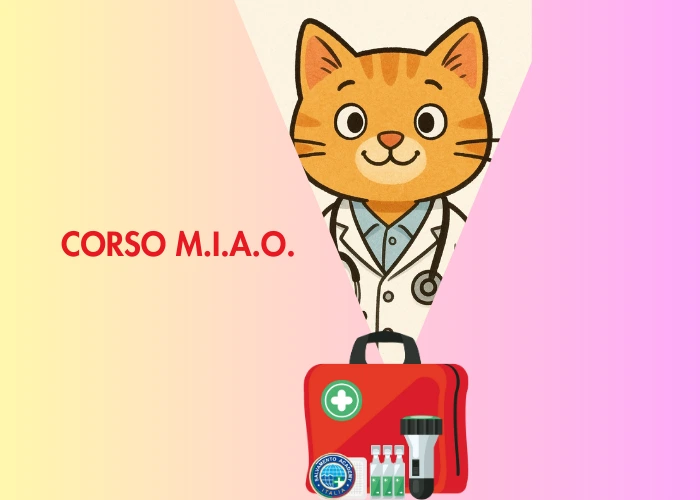 Immagine che raffigura Corso M.I.A.O.