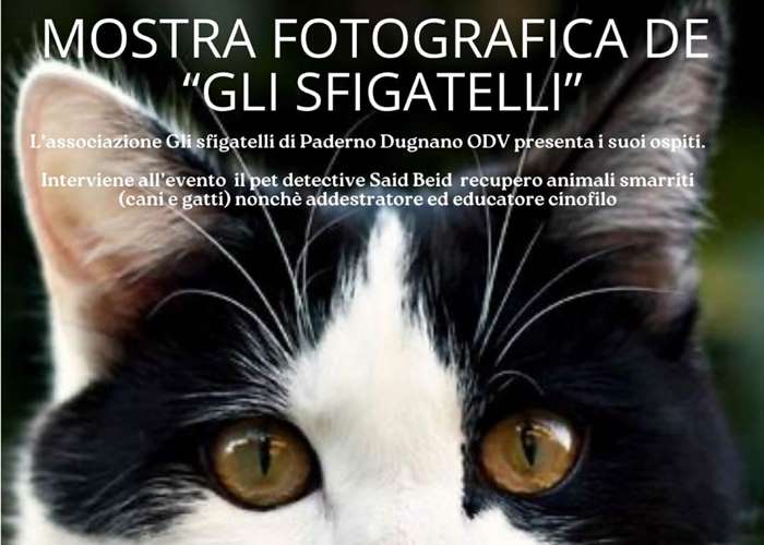 L’iniziativa a cura di 