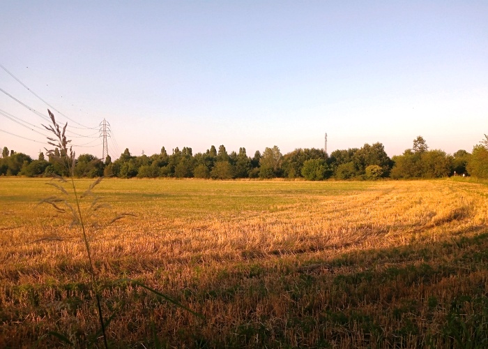 Immagine che raffigura aGREENment