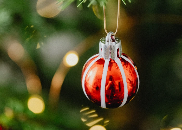 Iniziativa a cura di Ass. Accademia H. Villa Lobos e con il patrocinio della Città di Paderno Dugnano.