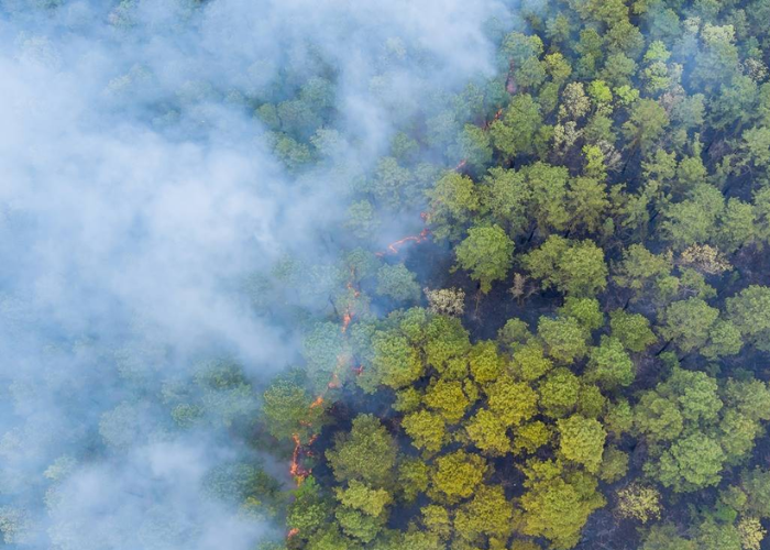 Immagine che raffigura Prevenzione incendi boschivi: le raccomandazioni di Regione Lombardia
