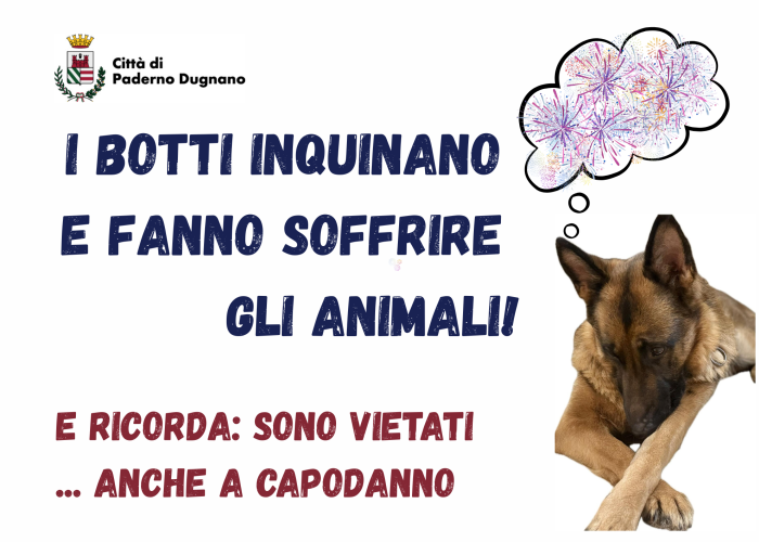 Immagine che raffigura Botti di capodanno