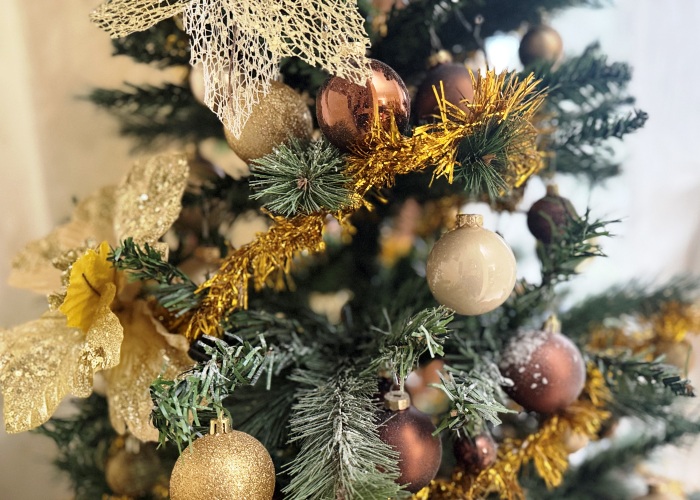 Immagine che raffigura Orari durante le festività