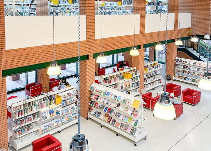 Immagine che raffigura Biblioteca Tilane